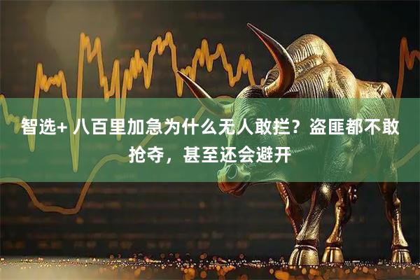 智选+ 八百里加急为什么无人敢拦？盗匪都不敢抢夺，甚至还会避开